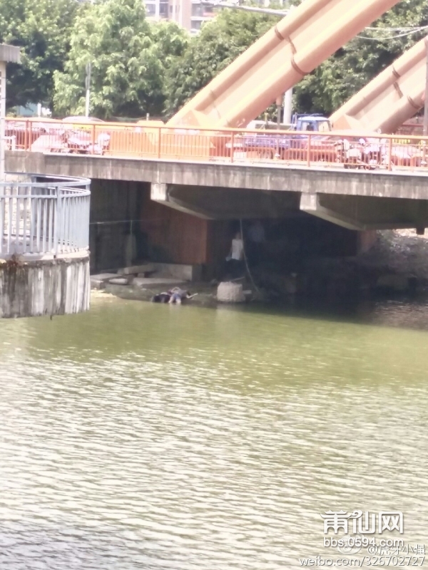 1470013911753185.jpg 162436v6hfqzhigsqofg8q.jpg