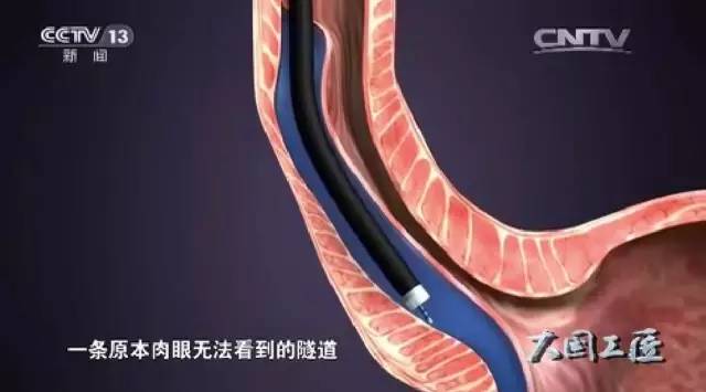 1475550968382638.jpg 640 (1).jpg