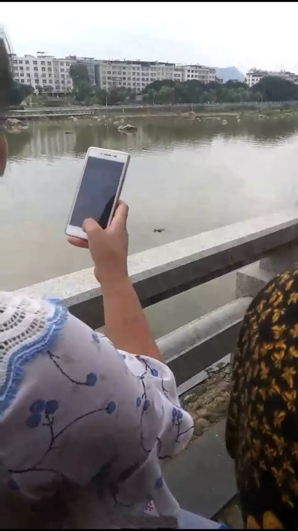 1495870486846263.jpg