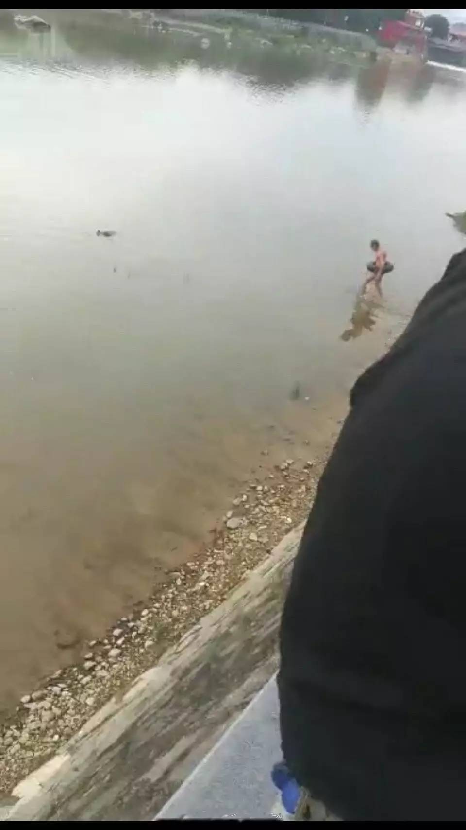 1495870486906335.jpg